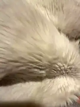 Jackoff2345 online show from 10/26/25, 03:34