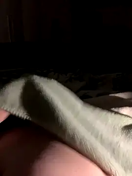 Snapshot of bfelipedasilva chatting on 10/28/25, 01:31 bfelipedasilva online show from 10/28/25, 01:31