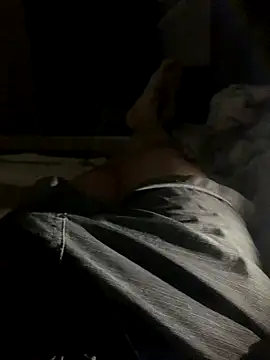 Snapshot of bfelipedasilva chatting on 12/04/25, 01:48 bfelipedasilva online show from 12/04/25, 01:48