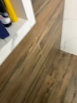 Snapshot of bfelipedasilva chatting on 12/21/25, 11:50 bfelipedasilva online show from 12/21/25, 11:50