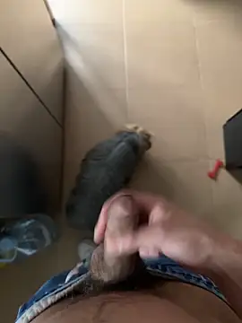 findomhot online show from 02/04/26, 03:51