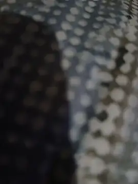 Piope1984 online show from 10/28/25, 09:17