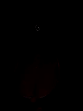 Mampykolkata online show from 11/15/25, 05:42