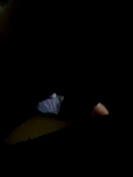 Snapshot of Nnicole1223 chatting on 11/02/25, 09:11 Nnicole1223 online show from 11/02/25, 09:11