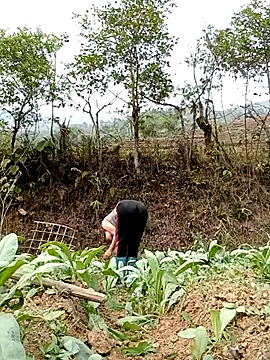 Noelle-e online show from 04/07/26, 10:26