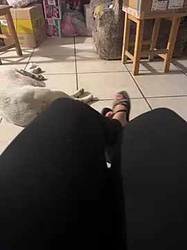 Evil kitty6 online show from 12/15/25, 12:26