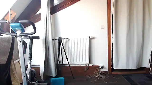 MissDyannis online show from 03/23/26, 11:14