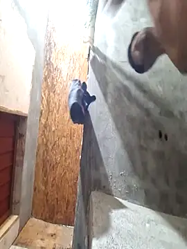 sanz957 online show from 11/14/25, 03:49