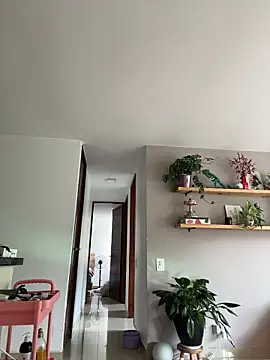 SugarTroubl33 online show from 11/12/25, 01:33