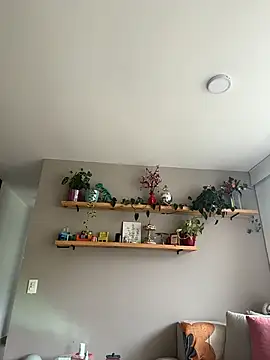 SugarTroubl33 online show from 04/16/26, 03:24