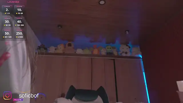 Snapshot of sofi_sc chatting on 11/09/25, 02:26 sofi sc online show from 11/09/25, 02:26