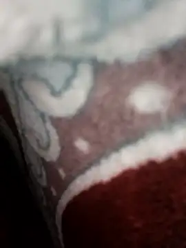 bigtelugubhama online show from 11/22/25, 11:09