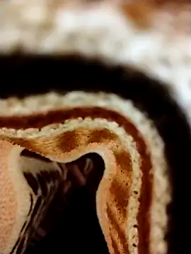 Snapshot of Nightrider1203 chatting on 11/08/25, 05:12 Nightrider1203 online show from 11/08/25, 05:12