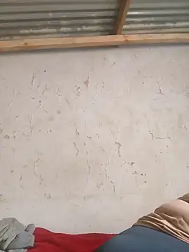 3bigcuteness online show from 11/14/25, 10:03