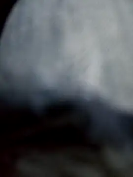 Snapshot of negro2828 chatting on 10/27/25, 10:58 negro2828 online show from 10/27/25, 10:58