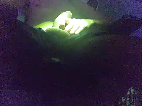 Snapshot of analice32456 chatting on 03/03/26, 06:52 analice32456 online show from 03/03/26, 06:52