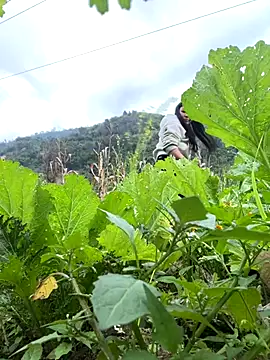 heodat-sexx online show from 12/17/25, 09:48