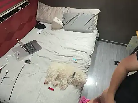 Bbydaddy 0 online show from 01/19/26, 09:57