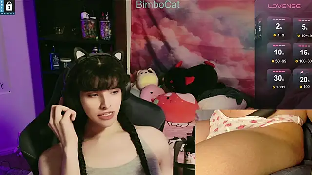 BimboCat online show from 11/15/25, 03:37
