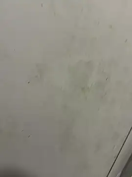 Snapshot of Isamperry69 chatting on 10/31/25, 04:02 Isamperry69 online show from 10/31/25, 04:02