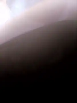 pino870 online show from 01/14/26, 09:52