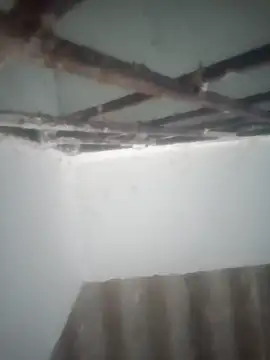 Pallu Asha online show from 03/19/26, 12:58