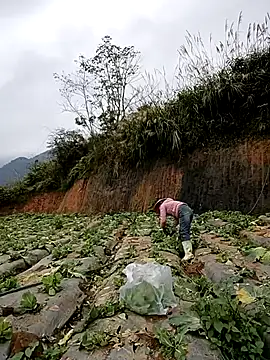 Snapshot of min_nyny chatting on 11/21/25, 01:26 min nyny online show from 11/21/25, 01:26