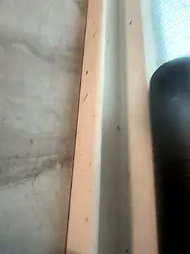 Snapshot of RobsBigD chatting on 10/30/25, 06:19 RobsBigD online show from 10/30/25, 06:19