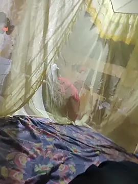 taylor1991V online show from 11/24/25, 07:19