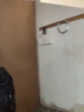 Snapshot of Ndodemnyama@xh chatting on 12/20/25, 06:04 Ndodemnyamaxh online show from 12/20/25, 06:04