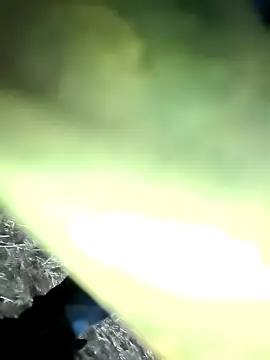 Snapshot of Realverse chatting on 11/21/25, 04:49 Realverse online show from 11/21/25, 04:49