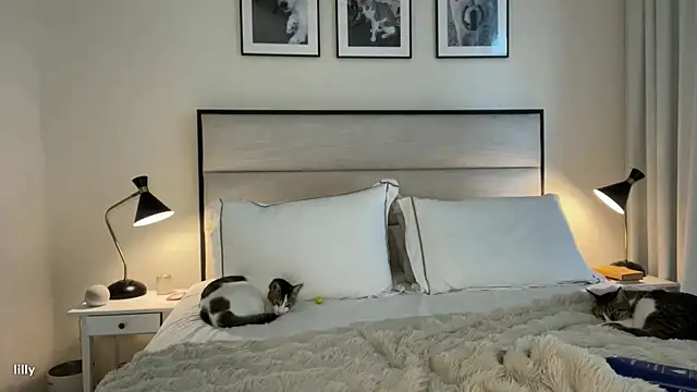 Snapshot of Itslillybloom chatting on 11/07/25, 04:23 Itslillybloom online show from 11/07/25, 04:23