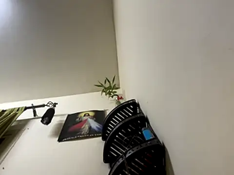 Snapshot of jishnu878 chatting on 11/24/25, 03:45 jishnu878 online show from 11/24/25, 03:45