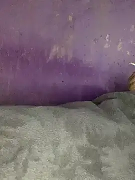 hotman29 online show from 11/26/25, 11:06