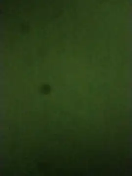 Snapshot of sexychd chatting on 12/14/25, 04:51 sexychd online show from 12/14/25, 04:51