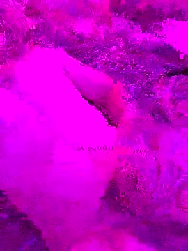 Snapshot of PitoDuroWuero chatting on 11/27/25, 11:34 PitoDuroWuero online show from 11/27/25, 11:34