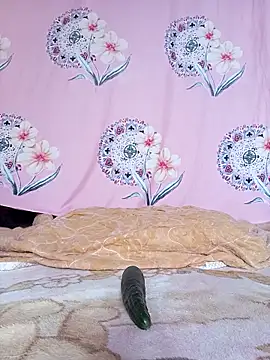 Snapshot of sdlmona chatting on 12/20/25, 01:07 sdlmona online show from 12/20/25, 01:07