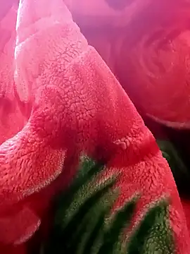 tamal2511 online show from 01/09/26, 03:04