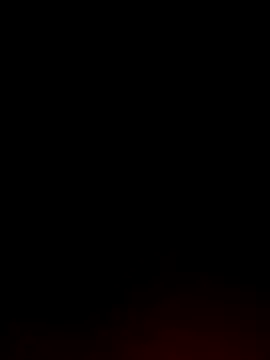 Tamil White Rose online show from 04/04/26, 08:28