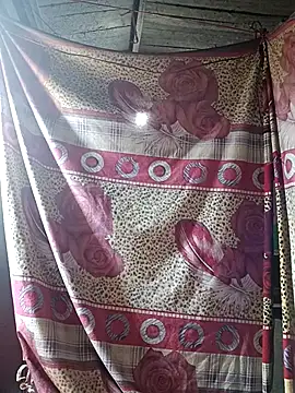 Bee-bgolden online show from 01/11/26, 12:21