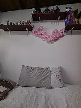 Snapshot of salomehill1 chatting on 12/17/25, 08:04 salomehill1 online show from 12/17/25, 08:04