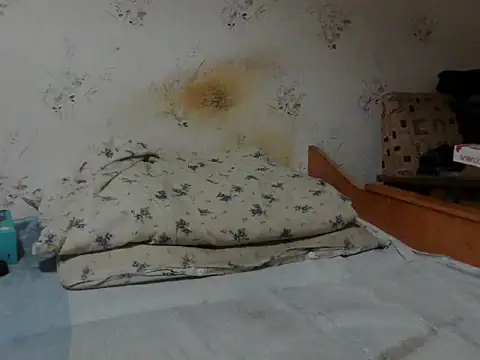 Snapshot of Kreol69 chatting on 11/24/25, 04:12 Kreol69 online show from 11/24/25, 04:12