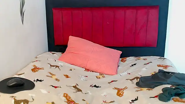 AMARYXS online show from 02/13/26, 02:24