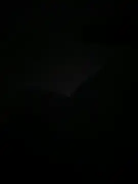 lanouvelle93 online show from 05/19/26, 01:33
