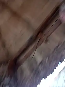 prototipoA45 online show from 01/13/26, 10:26