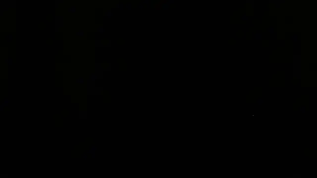 shark boy28 online show from 11/20/25, 02:56