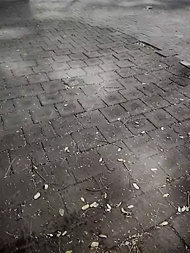 Snapshot of Javierba18301bak chatting on 01/09/26, 09:23 Javierba18301bak online show from 01/09/26, 09:23