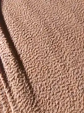 Snapshot of WillfulVideo chatting on 02/07/26, 08:07 WillfulVideo online show from 02/07/26, 08:07