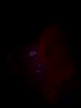 Snapshot of jacka_305 chatting on 11/22/25, 10:36 jacka 305 online show from 11/22/25, 10:36