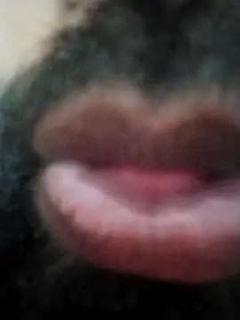 Snapshot of hyderabad_single chatting on 11/24/25, 12:38 hyderabad single online show from 11/24/25, 12:38